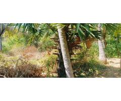 6.5cent plot for sale close to Thingalnagar