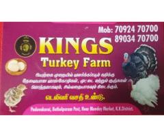Turkey Meat Wholesale and Retail