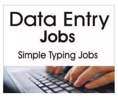 Secure 11-Month Contract: High-Volume Data Entry