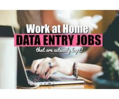 Daily Data Entry Work From Home | Contact Now